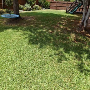 yard service by GrassFX Lawn Care reviewed on January 24, 2026