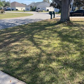 Leaf Removal by Forbes Mowing and Landscaping L.L.C. reviewed on September 11, 2025