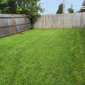 turf care by A Closer Look Residential Inspections LLC reviewed on July 20, 2023