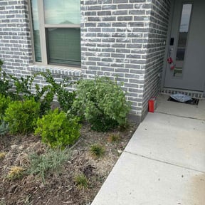 Bush Trimming by All season landscaping reviewed on August 20, 2025