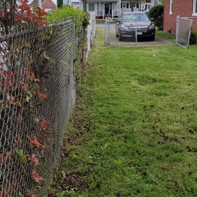 Bush Trimming by To The Max reviewed on August 15, 2025