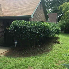 Bush Trimming by Worry No Mow Lawn and Landscaping reviewed on August 21, 2025