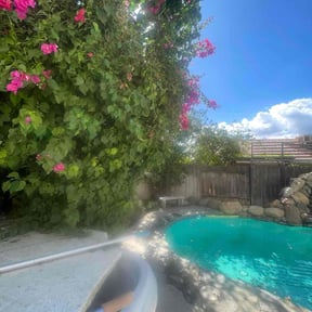 Bush Trimming by JJ Lawn and Tree Trimming reviewed on October 21, 2025