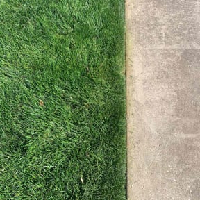 yard service by Wayne's landscaping reviewed on August 19, 2025