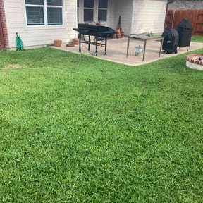 lawn service by Wright Style reviewed on August 17, 2025