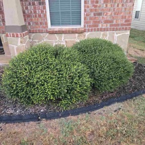 Flower Bed Weeding by Weebee Beautiful Yards reviewed on October 18, 2025