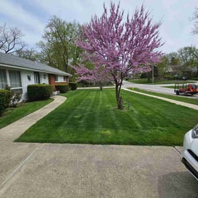 landscape maintenance by Swayne’s Lawncare LLC reviewed on August 20, 2025
