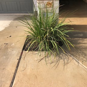 Flower Bed Weeding by JA Performance Outdoor Services reviewed on August 20, 2025