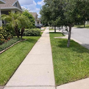 lawn care by Demiteria Casey Mattox reviewed on May 10, 2024