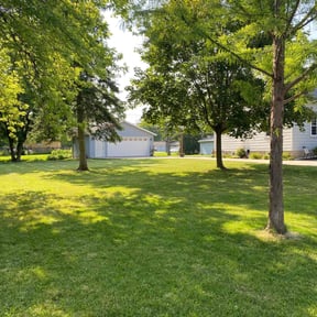 lawn service by Grass Whippers reviewed on July 13, 2025