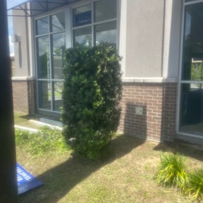 Bush Trimming by Johnny landscaping reviewed on August 15, 2025