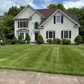 landscaping by Xpress lawn care reviewed on August 19, 2025