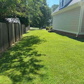 yard care by Asap Tree & Landscape llc reviewed on August 16, 2025