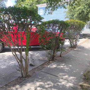 Leaf Removal by Nature One reviewed on July 23, 2026
