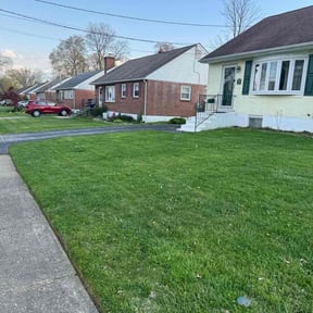 yard work by Steve & Sons reviewed on August 16, 2025