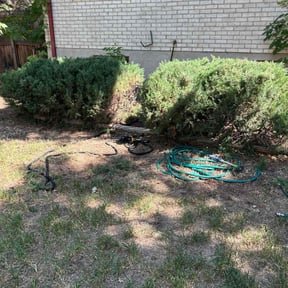 Bush Trimming by Irvine Lawn Service reviewed on August 17, 2025