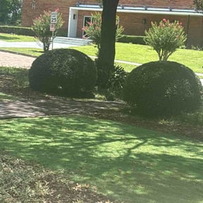 Bush Trimming by J&amp;R Lawncare &amp; Maintenance reviewed on July 15, 2026