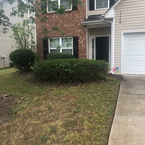 Bush Trimming by Lion's Landscaping reviewed on August 20, 2025