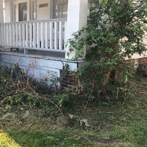 Flower Bed Weeding by Philly Got Grass reviewed on August 17, 2025