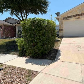 Bush Trimming by Dixiecup Mowing reviewed on October 22, 2025