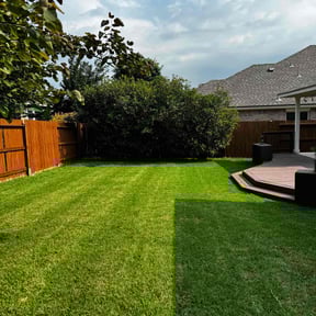 yard care by Mr. Nice Cut Lawn Care reviewed on August 17, 2025