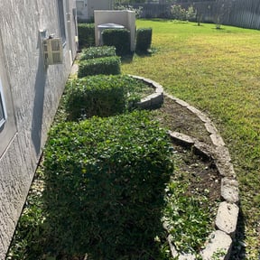 Bush Trimming by Parker Landscape & Maintenance reviewed on August 19, 2025