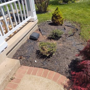 Bush Trimming by Ace lawn service reviewed on August 17, 2025