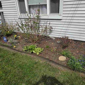 Flower Bed Weeding by Orellana lawn care and trees reviewed on April 23, 2026