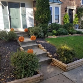 Bush Trimming by Bruce Lawn Service reviewed on May 21, 2025