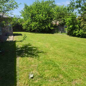 landscaping services by MY LANDSCAPER reviewed on August 21, 2025