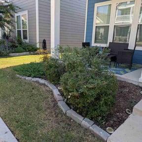 Bush Trimming by Cut Rite reviewed on December 3, 2025