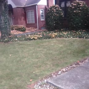 Leaf Removal by yardproservice reviewed on September 30, 2025