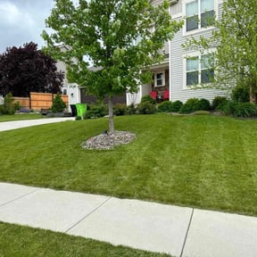 yard work by Texas Mobile Lawn Care reviewed on August 19, 2025