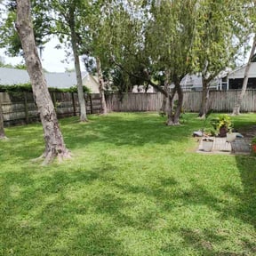 yard maintenance by Stetty's Lawn LLC reviewed on August 16, 2025