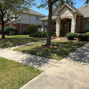 Leaf Removal by Champion Lawn Cuts reviewed on September 6, 2025