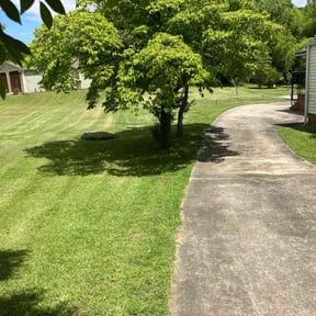 yard care by WIWO Unlimited reviewed on August 20, 2025