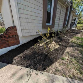 Mulching by Alfaro’s Lawncare reviewed on August 21, 2025