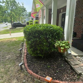 Bush Trimming by Lockwood Lawn Maintenance reviewed on August 20, 2025