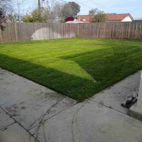 lawn care by Francisco Lawn Care Service reviewed on October 28, 2024