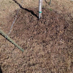 Flower Bed Weeding by Nature's Canvas reviewed on December 29, 2025