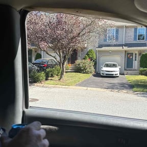 Flower Bed Weeding by Supreme Lawn Care reviewed on August 14, 2025