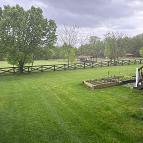 landscaping by SAN ANTONIO LAWNS LLC reviewed on August 19, 2025