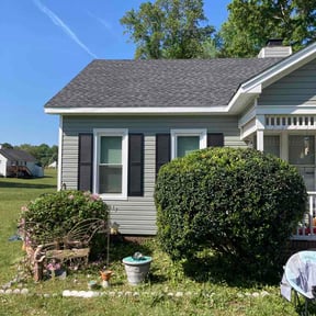 Bush Trimming by DaliaRosa reviewed on April 14, 2026