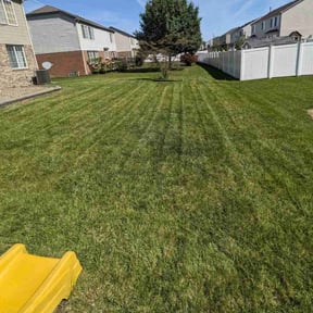 yard maintenance by Clean Cut Lawn Care reviewed on August 19, 2025