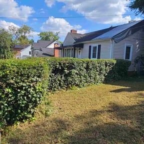 Bush Trimming by J&amp;L Landscaping reviewed on November 5, 2025