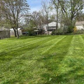 turf maintenance by  reviewed on September 30, 2019