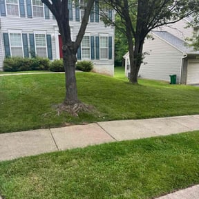 landscaping by Osment Lawn Care reviewed on August 15, 2025