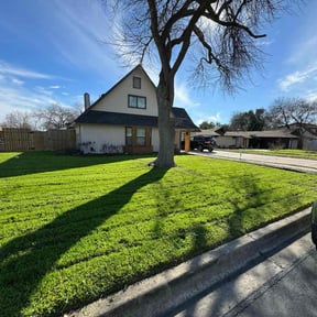 lawn care by Electric Mowing reviewed on May 1, 2024