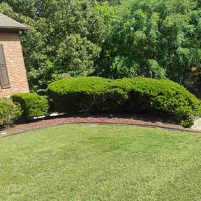 gardening service by Lakewood Lawn Services reviewed on August 20, 2025