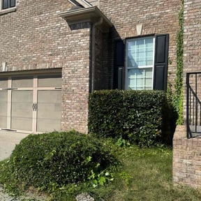 Bush Trimming by Inspo Lawncare reviewed on November 24, 2025